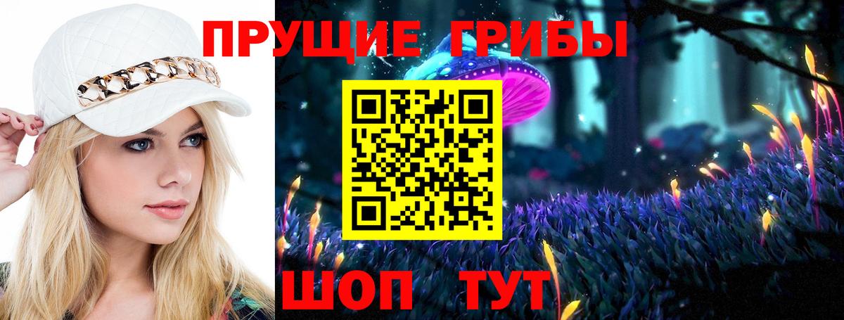 Галлюциногенные грибы Cubensis  Вход с VPN  Ливны 